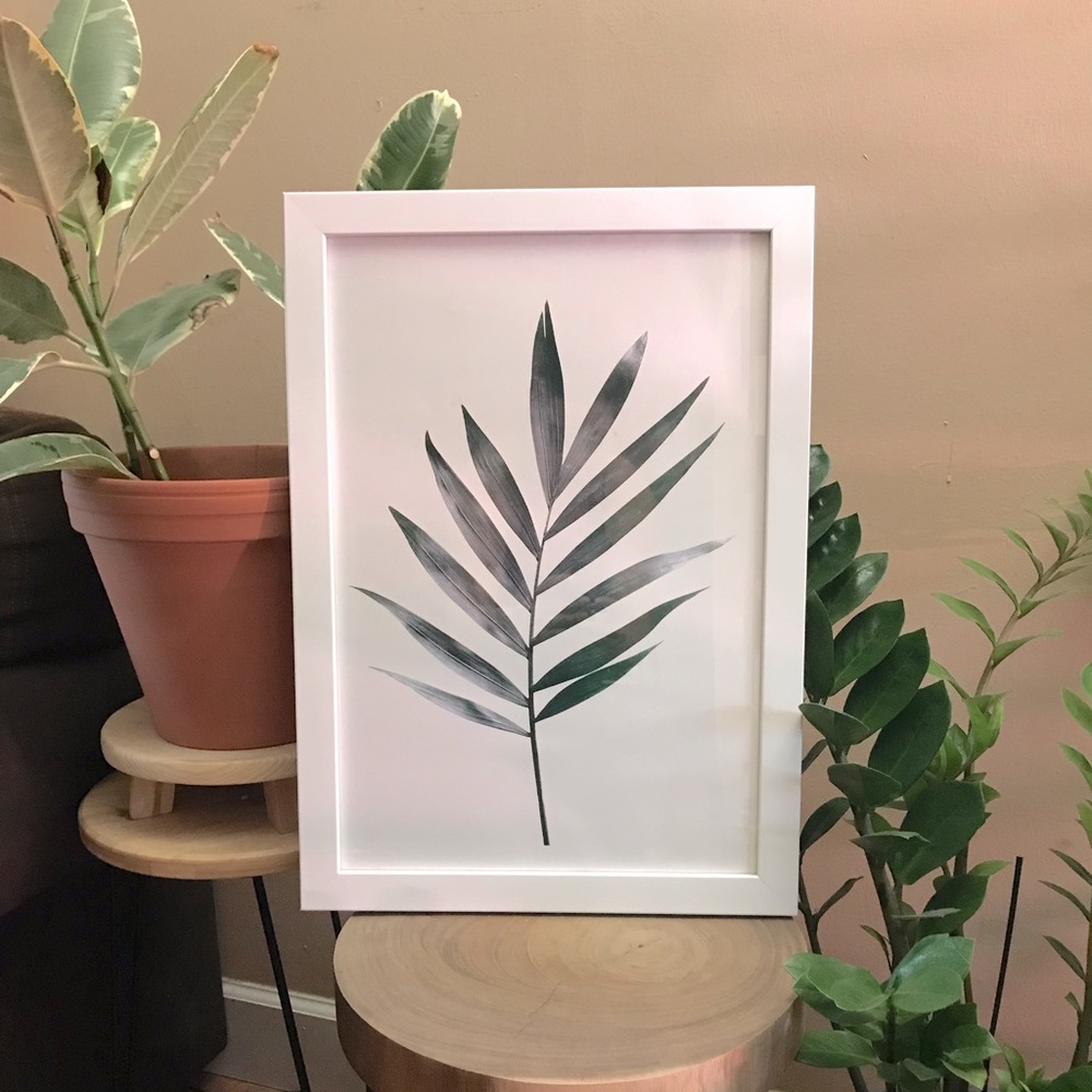 WYNWOOD Plant Art; Framed Art; Plants; White Framed Art